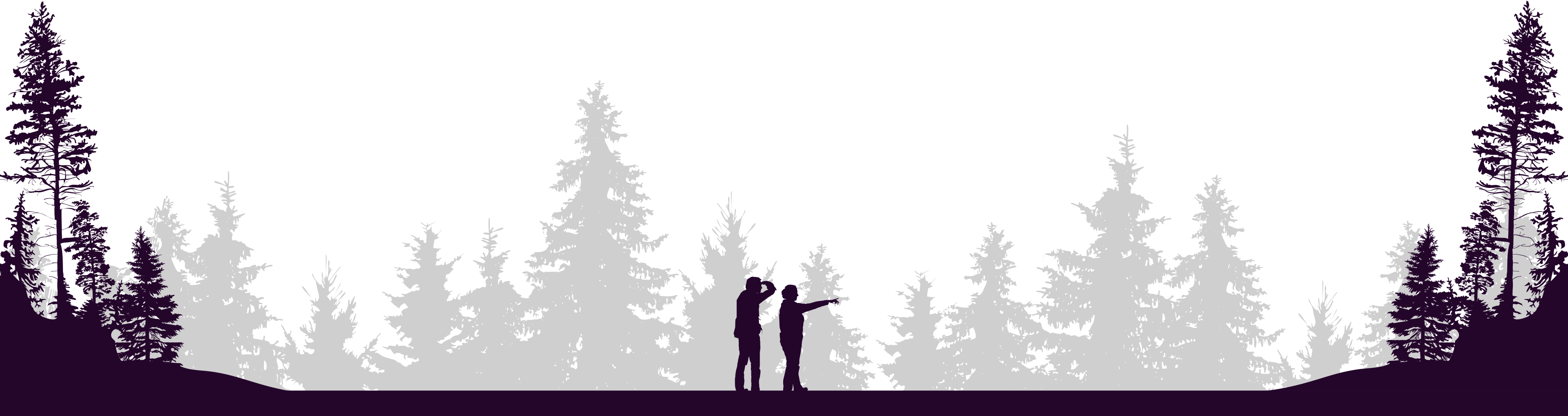 Footer Forestry Scene