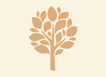 Forestry Trees