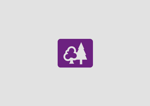 Fallback Image